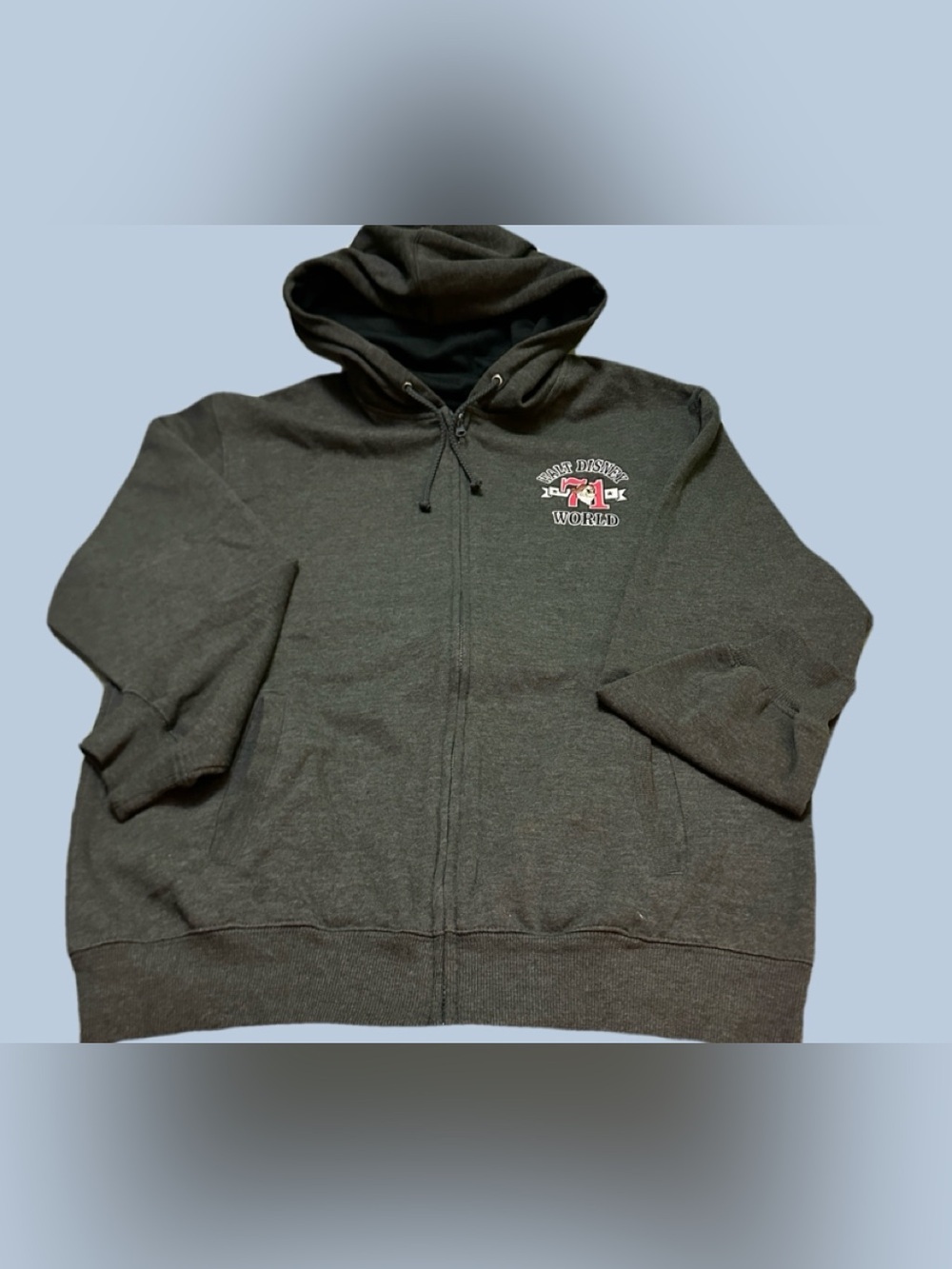 Disney Parks Grumpy  Embroidered 1971 Hoodie Castle Logo Pullover M